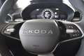 Skoda Fabia 1.0 MPI Selection 130 Jahre Grau - thumbnail 20