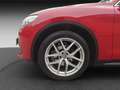 Alfa Romeo Stelvio 2.0 Turbo 16V AT8-Q4 First Edition Rot - thumbnail 14