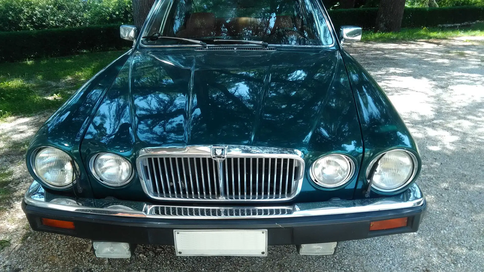 Jaguar XJ6 XJ6 4.2 Verde - 2