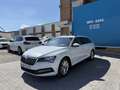 Skoda Superb Combi 2.0TDI AdBlue Ambition DSG 110kW Blanc - thumbnail 1