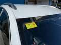 Skoda Superb Combi 2.0TDI AdBlue Ambition DSG 110kW Blanc - thumbnail 8