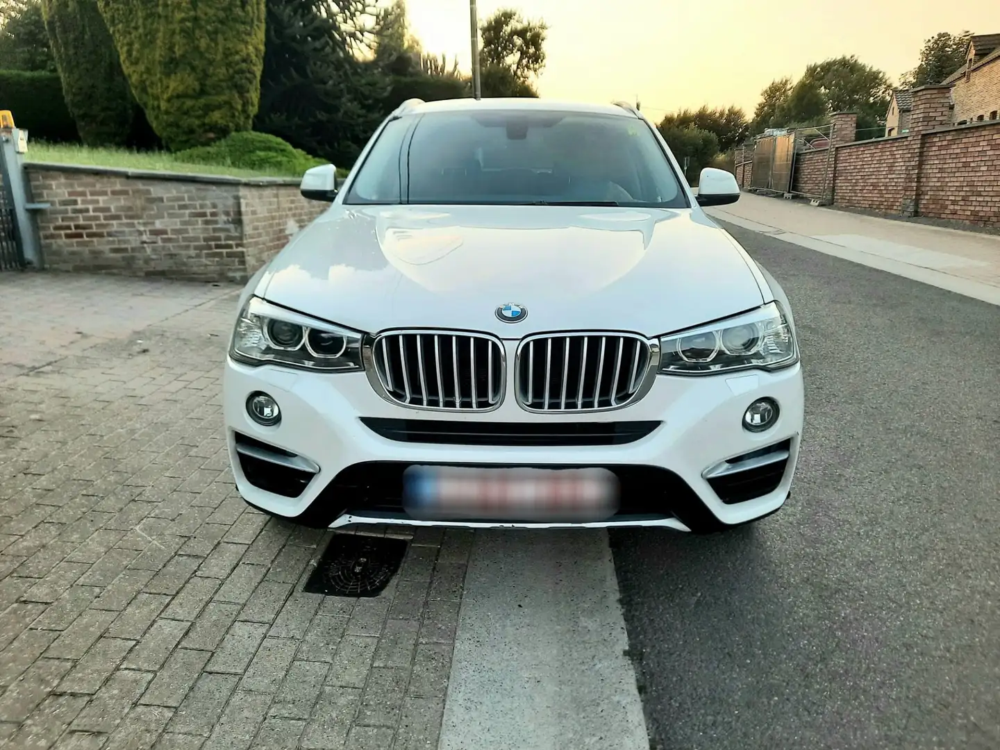 BMW X4 2.0 dA xDrive20 - 1