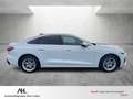 Audi A5 Lim. TDI S-tronic LED Navi ACC RFK Leder Sportsitz Weiß - thumbnail 6