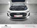 Audi A5 Lim. TDI S-tronic LED Navi ACC RFK Leder Sportsitz Weiß - thumbnail 17