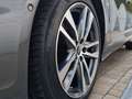 Audi A6 Avant TDI S- Line Daytonagrau*R- Kamera*ACC! Grau - thumbnail 6