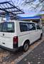 Volkswagen T6 Kombi VW Transporter T6 Kombi 2.0 TDI Candy-Weiß Weiß - thumbnail 3