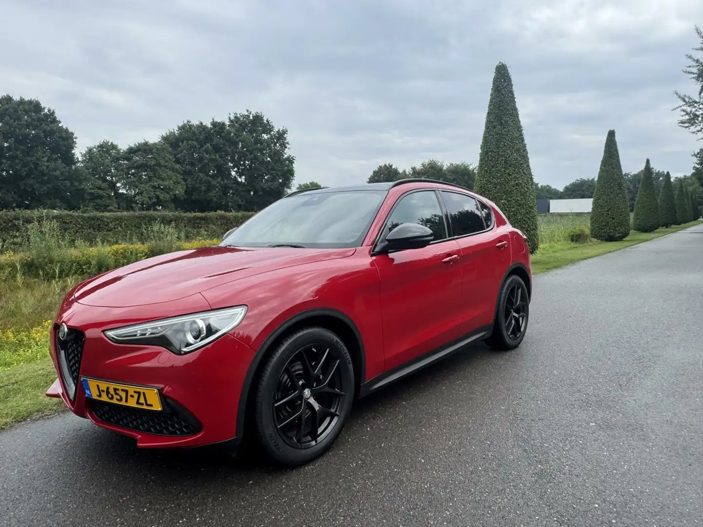 Alfa Romeo Stelvio 2.0t Q4 Veloce 310pk, pano, 84dkm, TOP!! Rood - 2