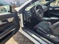 Mercedes-Benz E 220 Cabrio*AMG-PAKET*XENON *KAMERA*9 G Blanc - thumbnail 12