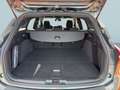 Ford Focus Turnier 1.0 EcoBoost Hybrid ST-LINE X Grau - thumbnail 10