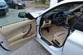 BMW 320 320 d GT xDrive Luxury Line Abst.Temp.Head-Up Weiß - thumbnail 29