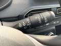 Dacia Sandero Stepway TCe Extreme CVT 67kW Grijs - thumbnail 18