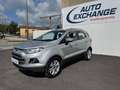 Ford EcoSport EcoSport 1.5 tdci Titanium S 95cv Grigio - thumbnail 1
