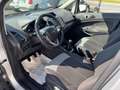 Ford EcoSport EcoSport 1.5 tdci Titanium S 95cv Grigio - thumbnail 9