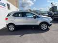 Ford EcoSport EcoSport 1.5 tdci Titanium S 95cv Grigio - thumbnail 8