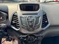Ford EcoSport EcoSport 1.5 tdci Titanium S 95cv Grigio - thumbnail 14