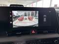 Kia Sportage 1,6 TGDI 48V Gold DCT AUTO STAHL WIEN 21 Roşu - thumbnail 19