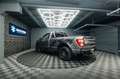 Ford F 150 F150 3.3 V6 Offroad Raptor Singlecab Longbed 19% Gris - thumbnail 21
