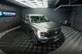 Ford F 150 F150 3.3 V6 Offroad Raptor Singlecab Longbed 19% Gris - thumbnail 9