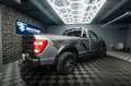 Ford F 150 F150 3.3 V6 Offroad Raptor Singlecab Longbed 19% Gris - thumbnail 16