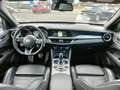 Alfa Romeo Stelvio 2.2 Turbodiesel 210 CV AT8 Q4 Veloce Grigio - thumbnail 12