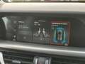 Alfa Romeo Stelvio 2.2 Turbodiesel 210 CV AT8 Q4 Veloce Grigio - thumbnail 30