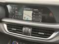Alfa Romeo Stelvio 2.2 Turbodiesel 210 CV AT8 Q4 Veloce Grigio - thumbnail 23
