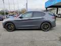 Alfa Romeo Stelvio 2.2 Turbodiesel 210 CV AT8 Q4 Veloce Grigio - thumbnail 6