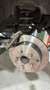 Toyota Prius (Hybrid) Executive - thumbnail 13