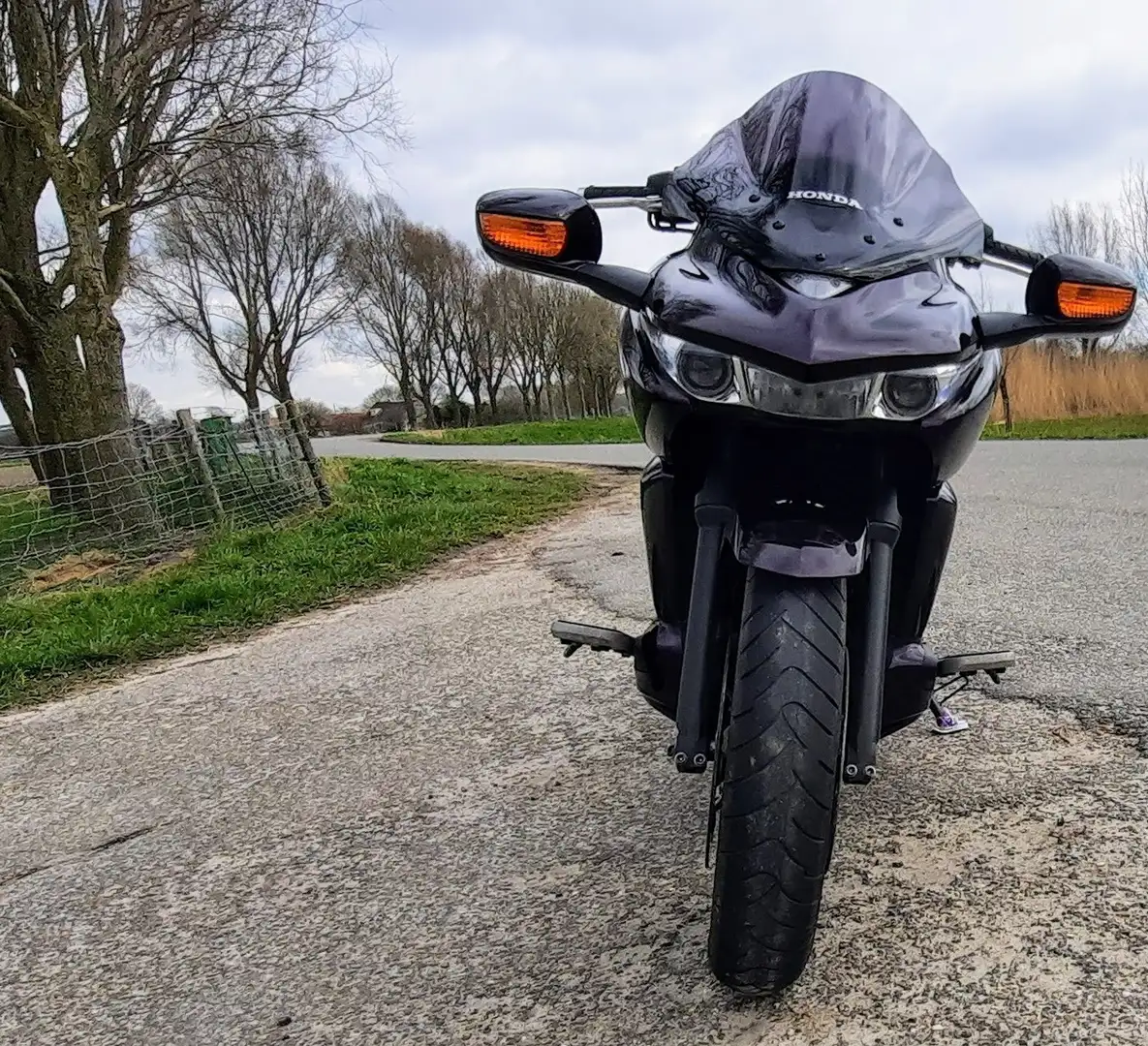 Honda DN-01 Paars - 1