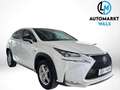 Lexus NX 300h Hybrid Aut. Blanco - thumbnail 3