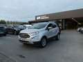 Ford EcoSport 1.0 i benzine 125pk Titanium Luxe '18 (30201) Zilver - thumbnail 23
