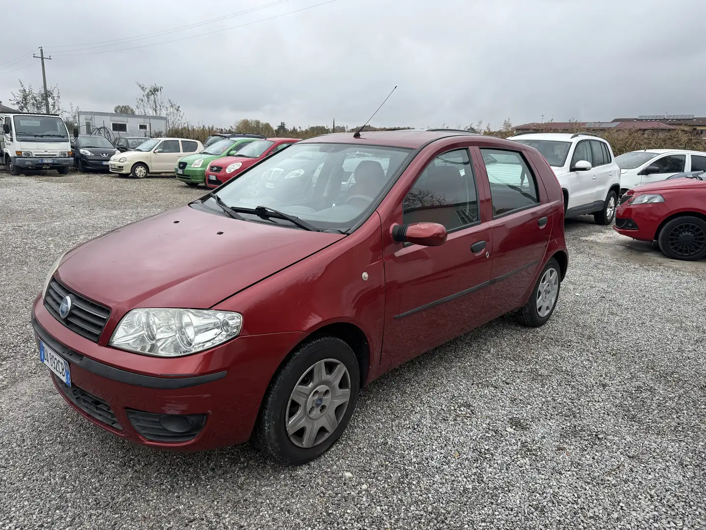 Fiat Punto 5p 1.2 Dynamic - 2