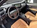 Lexus UX 250h Executive Line Zwart - thumbnail 14
