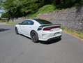 Dodge Charger 5.7 V8 Automatik R/T Daytona ACC LPG !!EZ in DE!! Bianco - thumbnail 8
