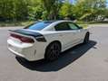 Dodge Charger 5.7 V8 Automatik R/T Daytona ACC LPG !!EZ in DE!! Bianco - thumbnail 7