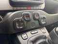 Fiat Panda 1.0 FireFly S&S Hybrid Grigio - thumbnail 14