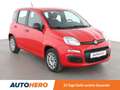 Fiat Panda 1.2 Easy*KLIMA*CD*WENIG-KM*1.HAND*GARANTIE* Rot - thumbnail 8