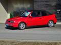 Volkswagen Golf Cabriolet "Auto Motor Sport" Sondermodell 1 von 50 Rarität crvena - thumbnail 1
