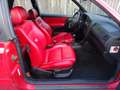 Volkswagen Golf Cabriolet "Auto Motor Sport" Sondermodell 1 von 50 Rarität Rouge - thumbnail 24