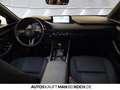 Mazda 3 5HB 2.5L 140ps 6AT FWD Homura ACC HUD Bluetooth Rot - thumbnail 8