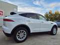 Jaguar E-Pace 2.0 D 150cv AUTO. // AWD // Blanc - thumbnail 12
