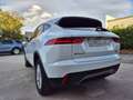 Jaguar E-Pace 2.0 D 150cv AUTO. // AWD // Blanc - thumbnail 9