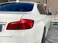 BMW 520 BMW 520d Luxury *OFFERTA CON FINANZIAMENTO* Weiß - thumbnail 25