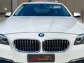BMW 520 BMW 520d Luxury *OFFERTA CON FINANZIAMENTO* Weiß - thumbnail 17