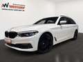 BMW 530 d Sport Line -- ACC/ Pano/ AHK/ STHZG/ 19LM Wit - thumbnail 1
