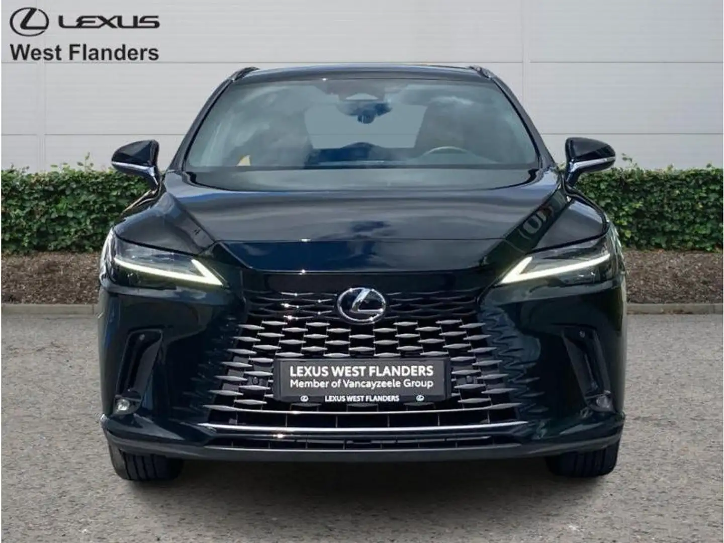 Lexus RX 450h Executive Line+cam+nav+sens V& Noir - 2