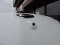 Kia ProCeed / pro_cee'd 1.0 T-GDi GT-Line | Panodak | Stuur/stoelverw | Bl Blanc - thumbnail 50