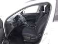 Fiat Tipo SW Business 1.6 Diesel 131CV Bianco - thumbnail 10