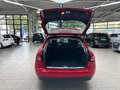 Mercedes-Benz C 250 T d 4Matic Navi Panorama SHZ Cam Rosso - thumbnail 8