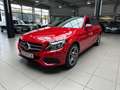 Mercedes-Benz C 250 T d 4Matic Navi Panorama SHZ Cam Rosso - thumbnail 1